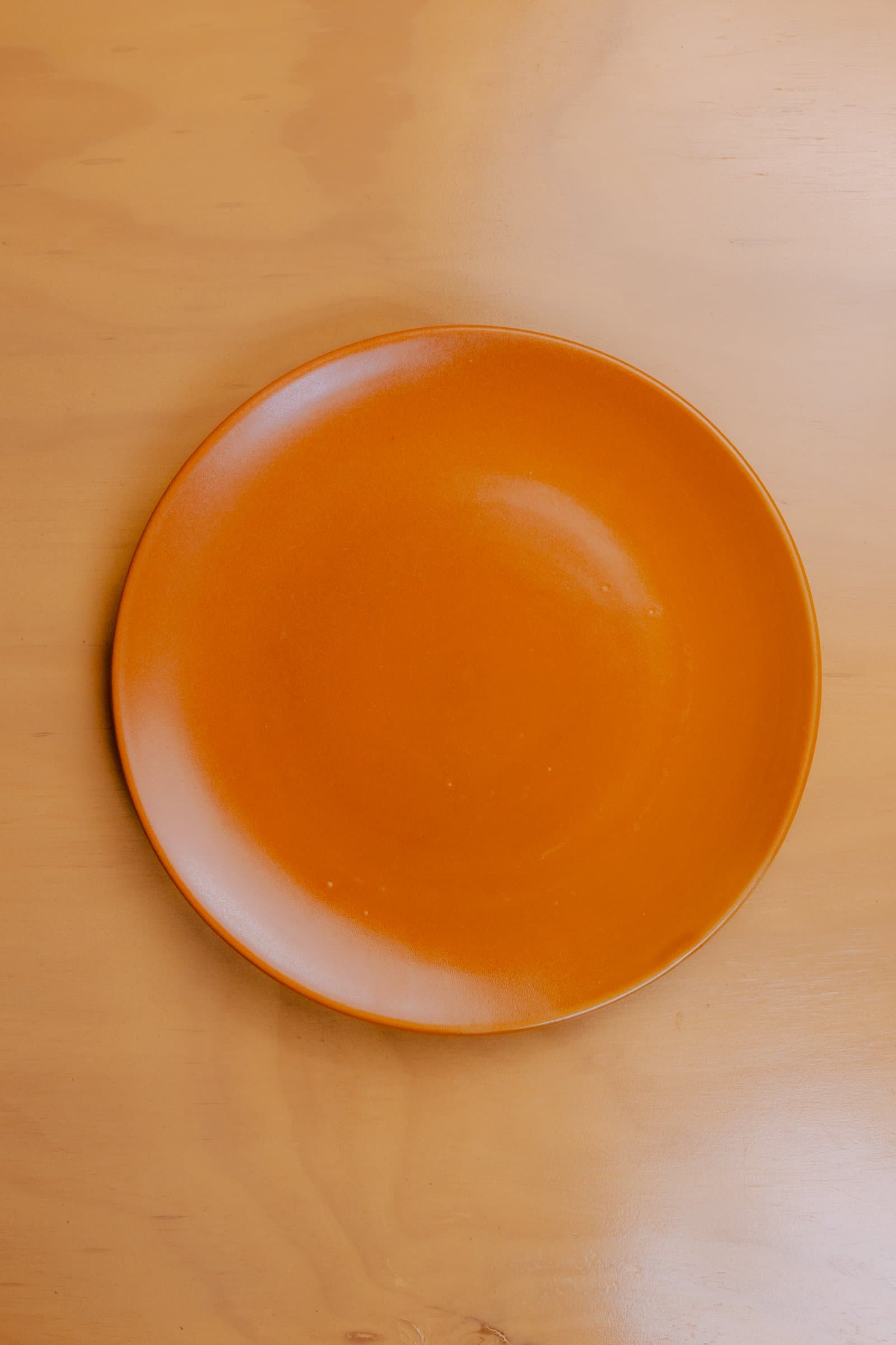 Mud Dinner Plate